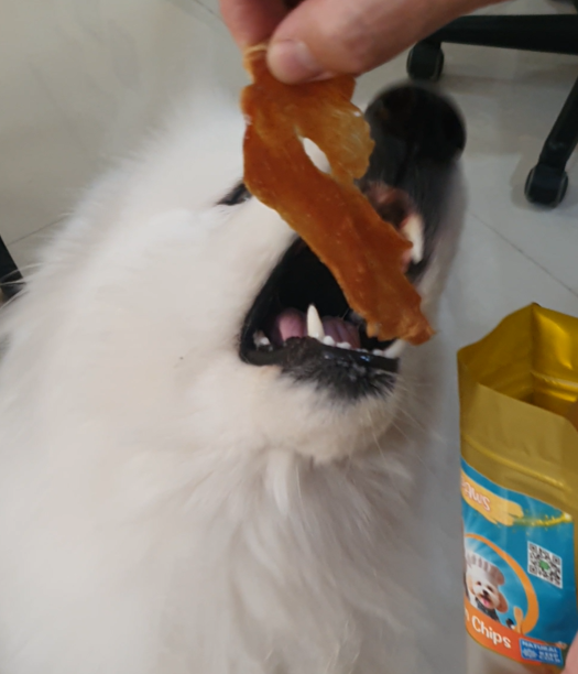 eat chickenchips eat chickenchips