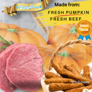 beef pumpkin (35 gr)