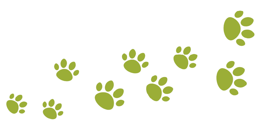 paws print paws print