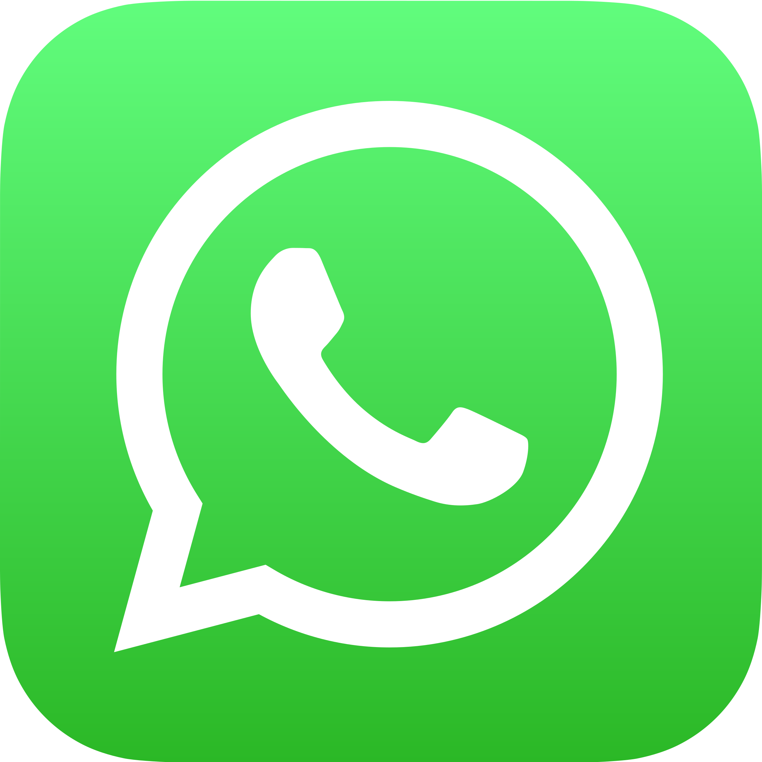 WhatsApp Suly Paws