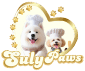 logo sulypawsv3 small